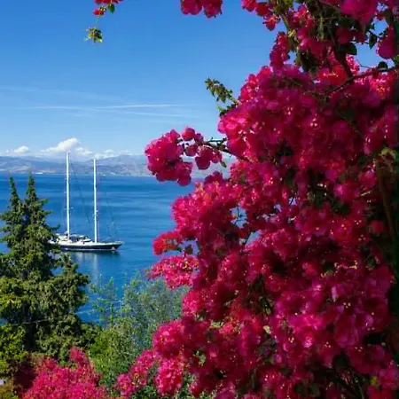 Novus Seaview * Benitses (Corfu)