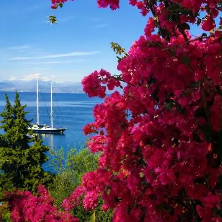 Novus Seaview Aparthotel
